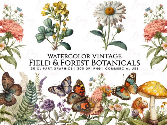 Download Field &amp; Forest Vintage Botanical Clipart - Field Collection