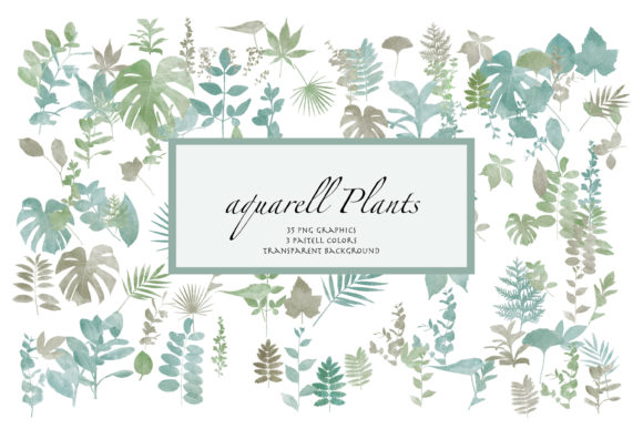 Download Watercolor Plants, Transparent - Premium Resources