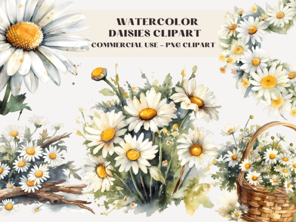 Download Watercolour Daisies Clipart Illustration - Daisies clipart Collection