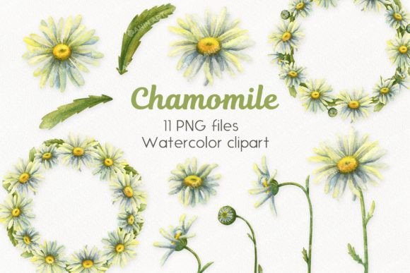 Download Watercolor Daisies Clipart - Daisies clipart Collection