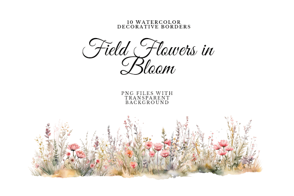 Download Watercolor Field Flowers Border - Field Collection